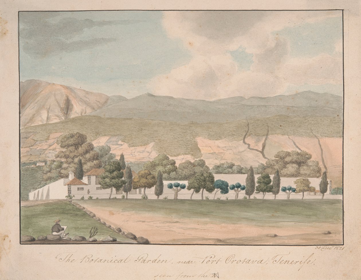 Der Botanische Garten bei Port Orotava, Teneriffa von Alfred Diston