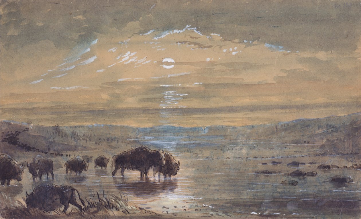 Nachtszene, Büffel auf der Prärie, ca. 1837 von Alfred Jacob Miller