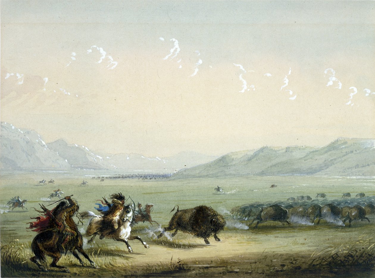 Laufender Büffel von Alfred Jacob Miller