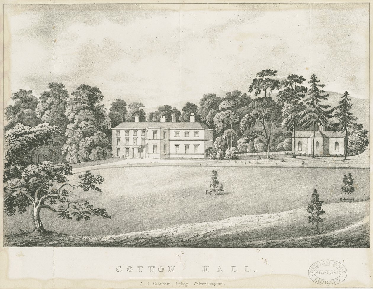 Cotton - Hall von Alfred Jolly Caldicott