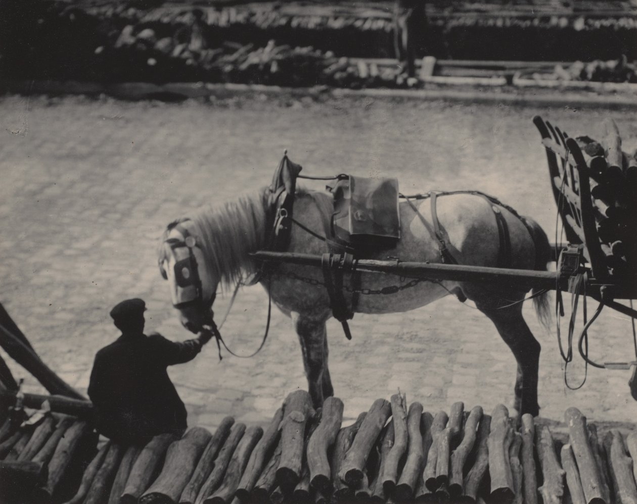 Ein Schnappschuss, Paris von Alfred Stieglitz