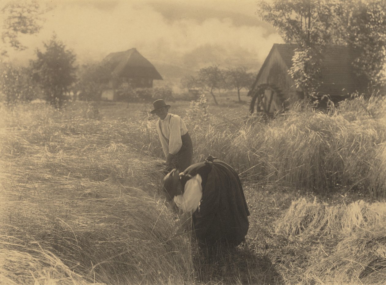 Früher Morgen von Alfred Stieglitz