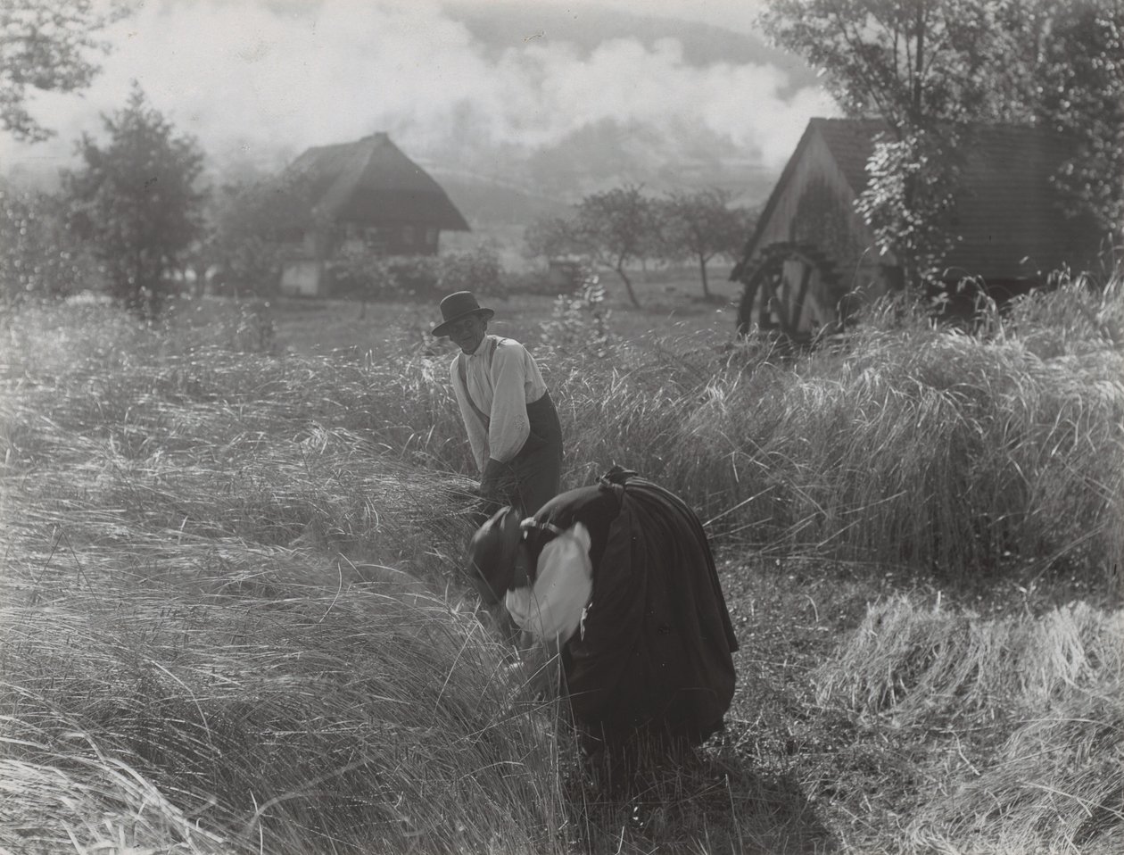 Ernte im Schwarzwald von Alfred Stieglitz