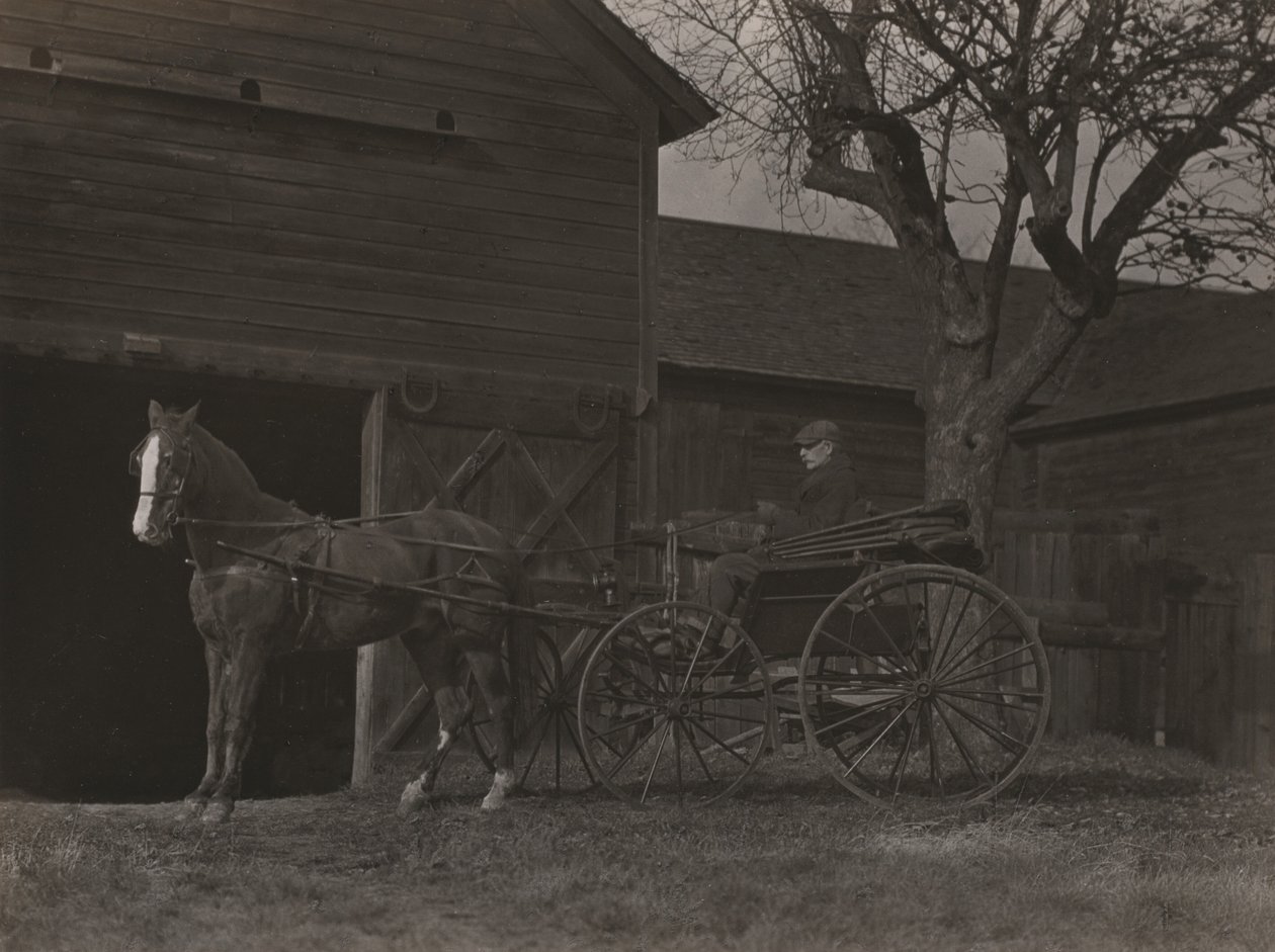 Pferd und Wagen von Alfred Stieglitz