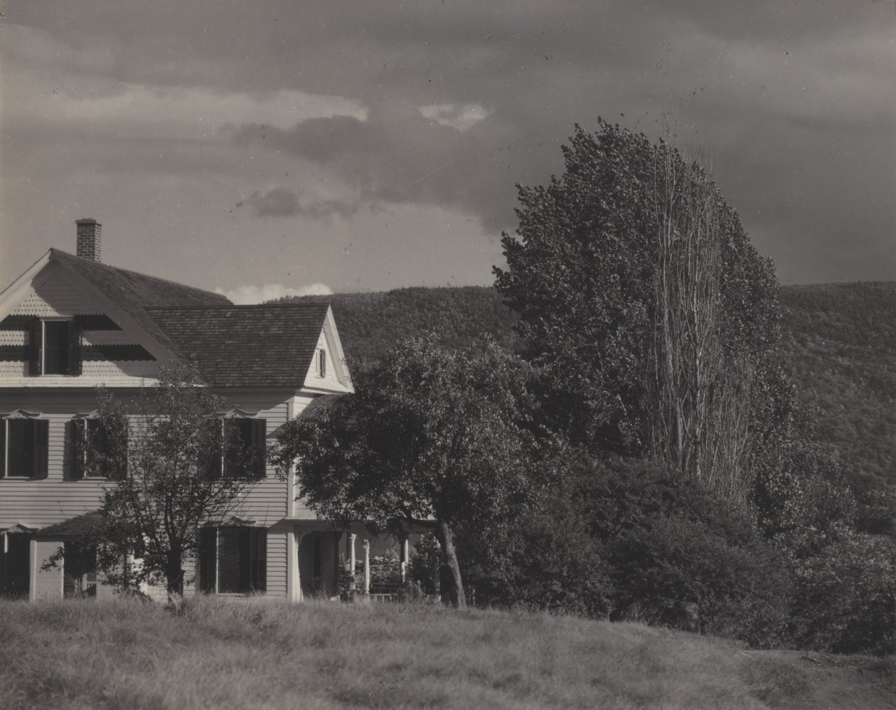 Haus und Pappeln, Lake George von Alfred Stieglitz