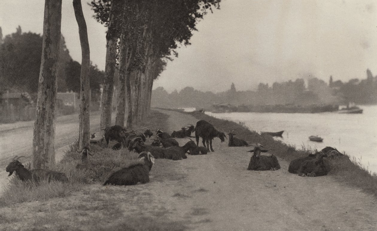 An der Seine—In der Nähe von Paris von Alfred Stieglitz