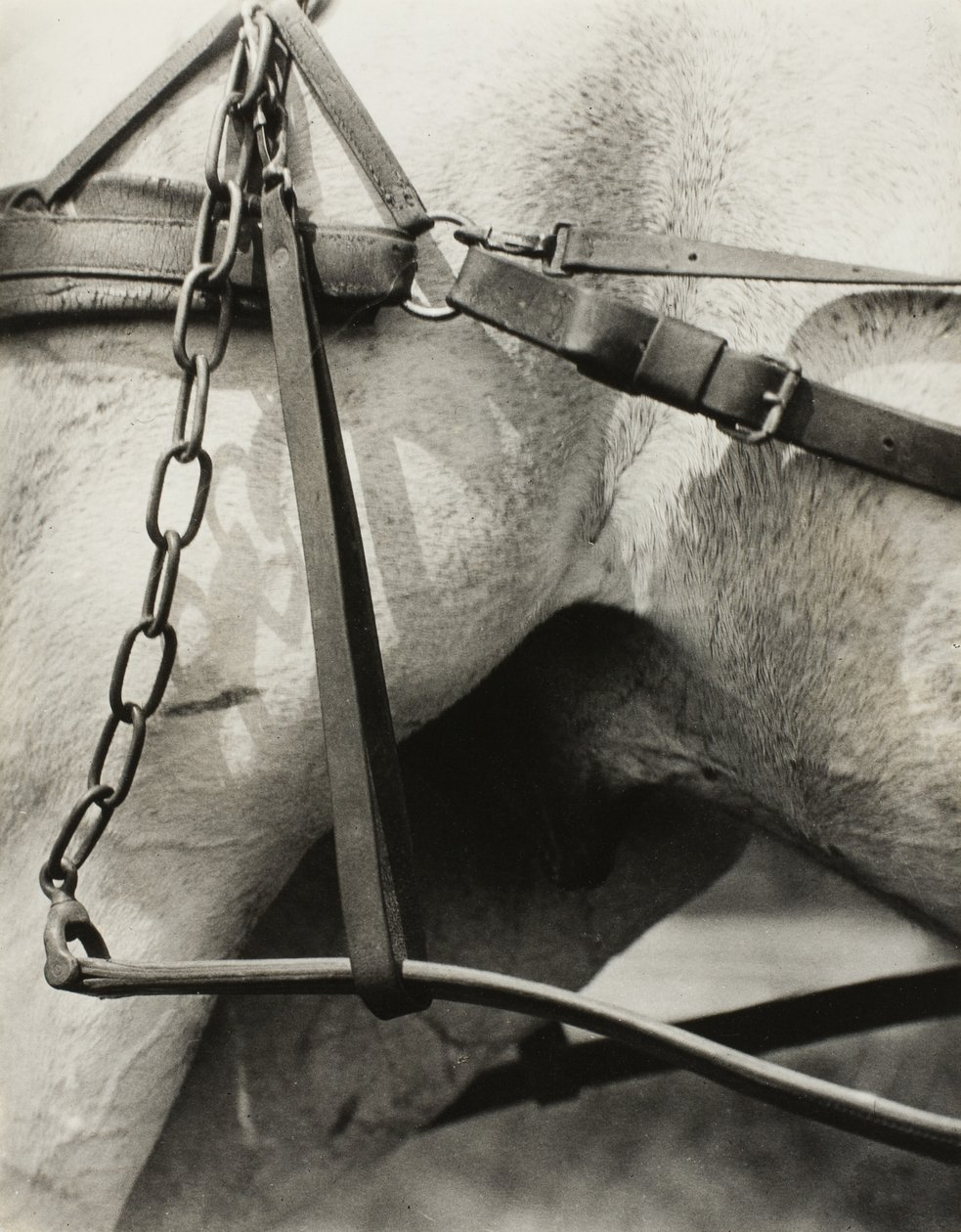 Spirituelles Amerika: Lieder des Himmels A1 von Alfred Stieglitz