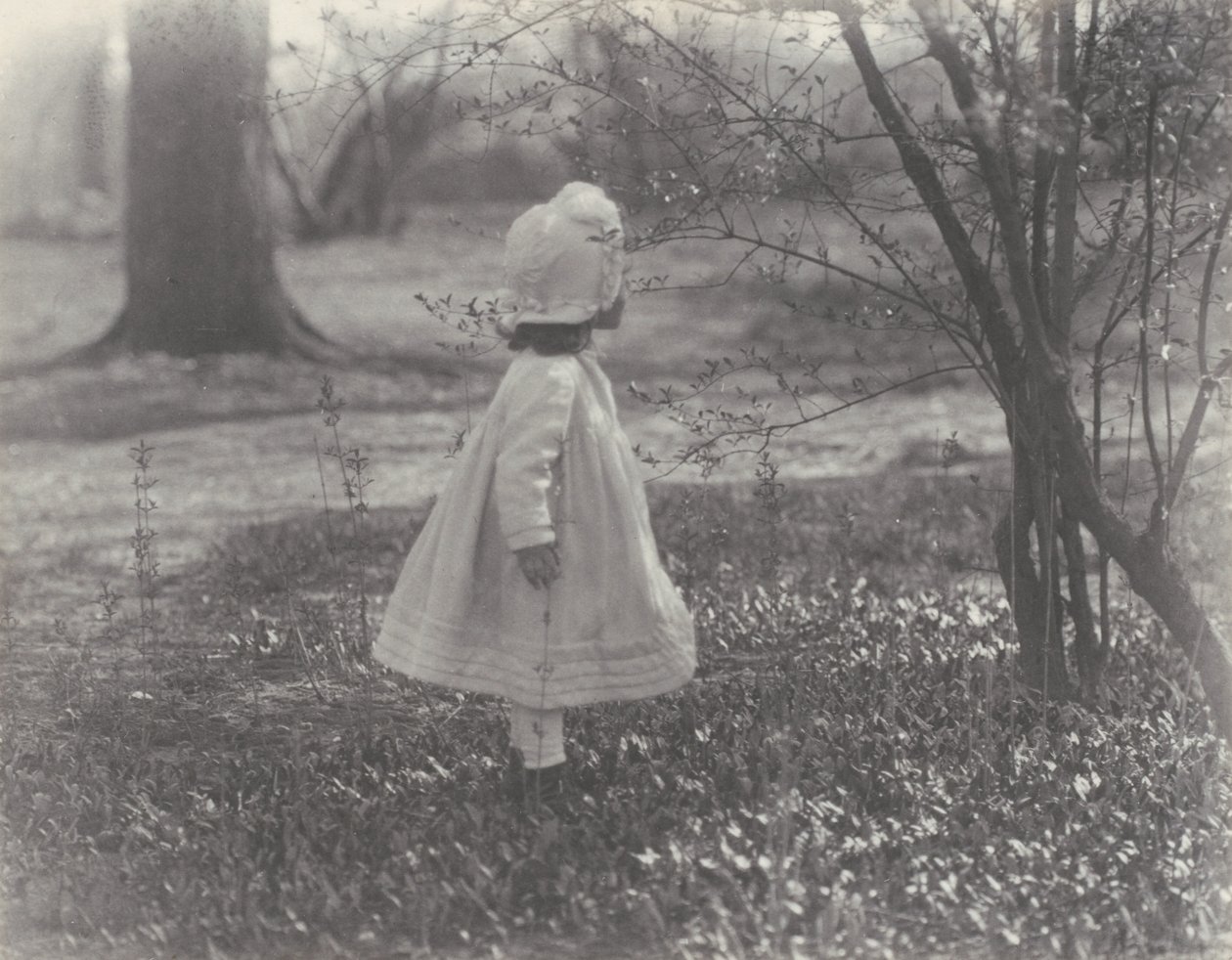 Frühling von Alfred Stieglitz