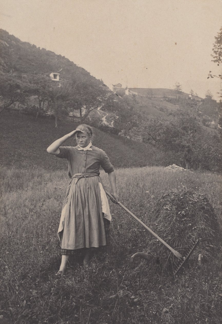 Die Ernte, Mittenwald von Alfred Stieglitz