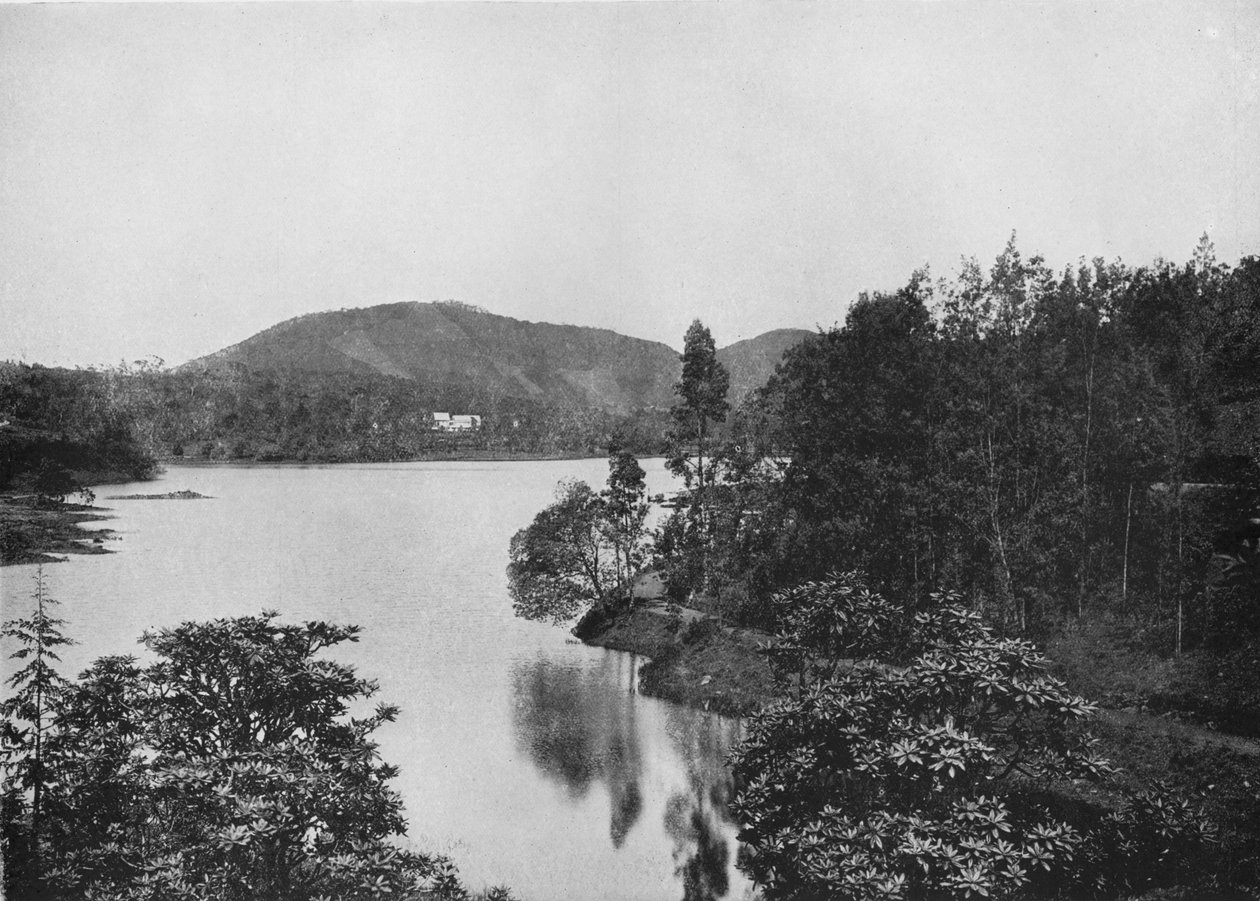 Eine Ecke des Nuwara Eliya Sees, ca. 1890, 1910 von Alfred William Amandus Plate