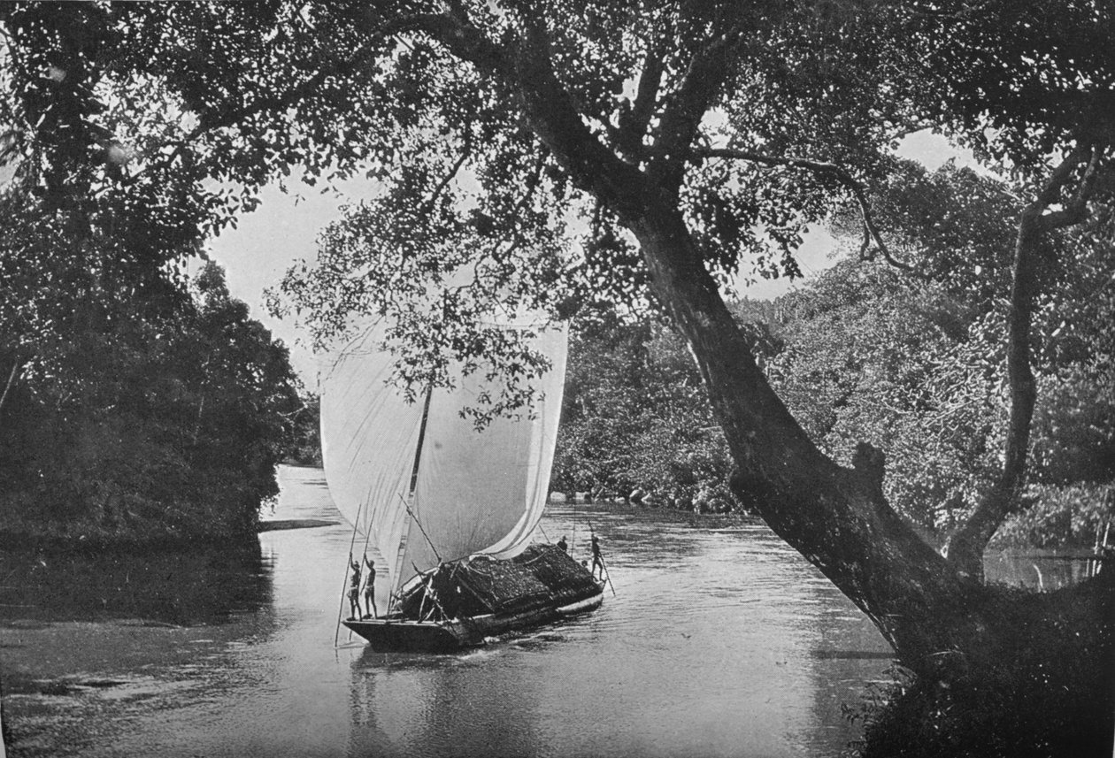 Padda-Boot in voller Fahrt, ca. 1890 von Alfred William Amandus Plate