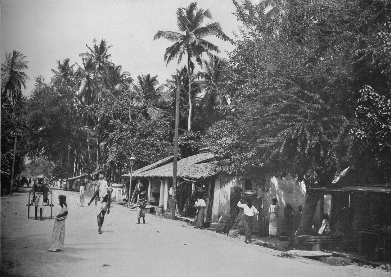 Szene am Straßenrand auf dem Weg nach Mt. Lavinia, ca. 1890, 1910 von Alfred William Amandus Plate