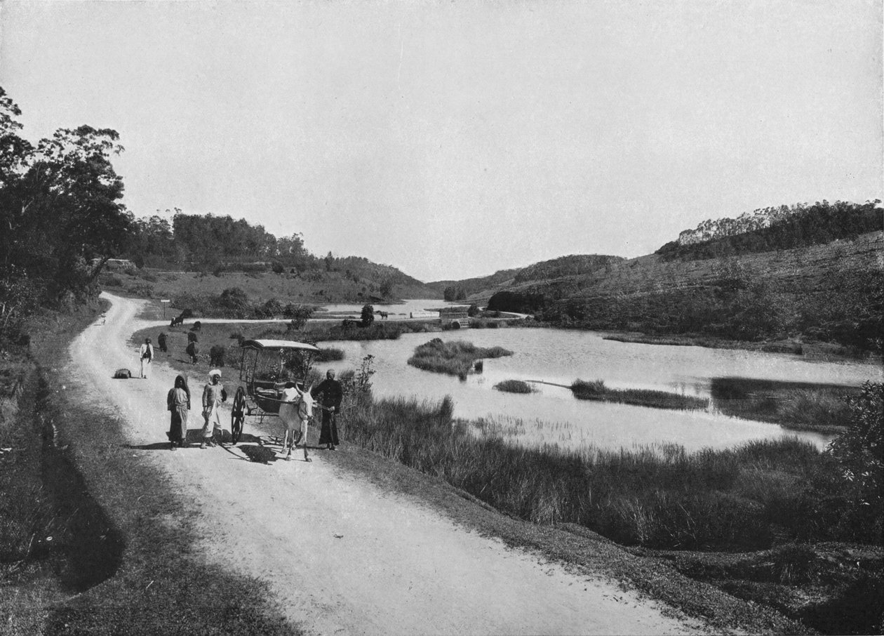 Die Mondebenen, Nuwara Eliya, um 1890, 1910 von Alfred William Amandus Plate