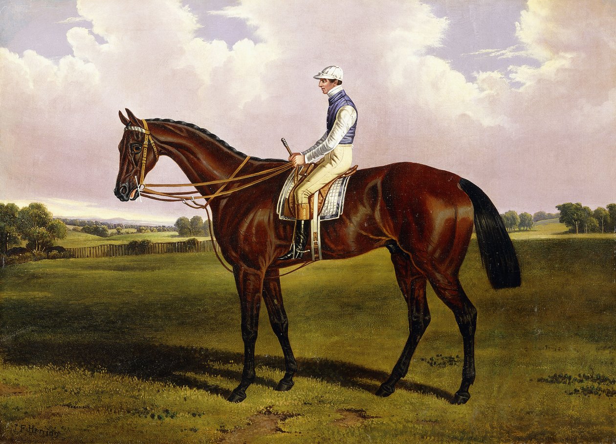Bloomsbury, ein kastanienbraunes Rennpferd mit Sam Templeman in einer Landschaft von Alfred de Prades