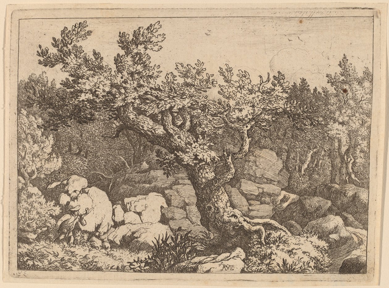 Sportler in der Nähe eines großen Baumes, wahrscheinlich ca. 1645-1656 von Allart van Everdingen