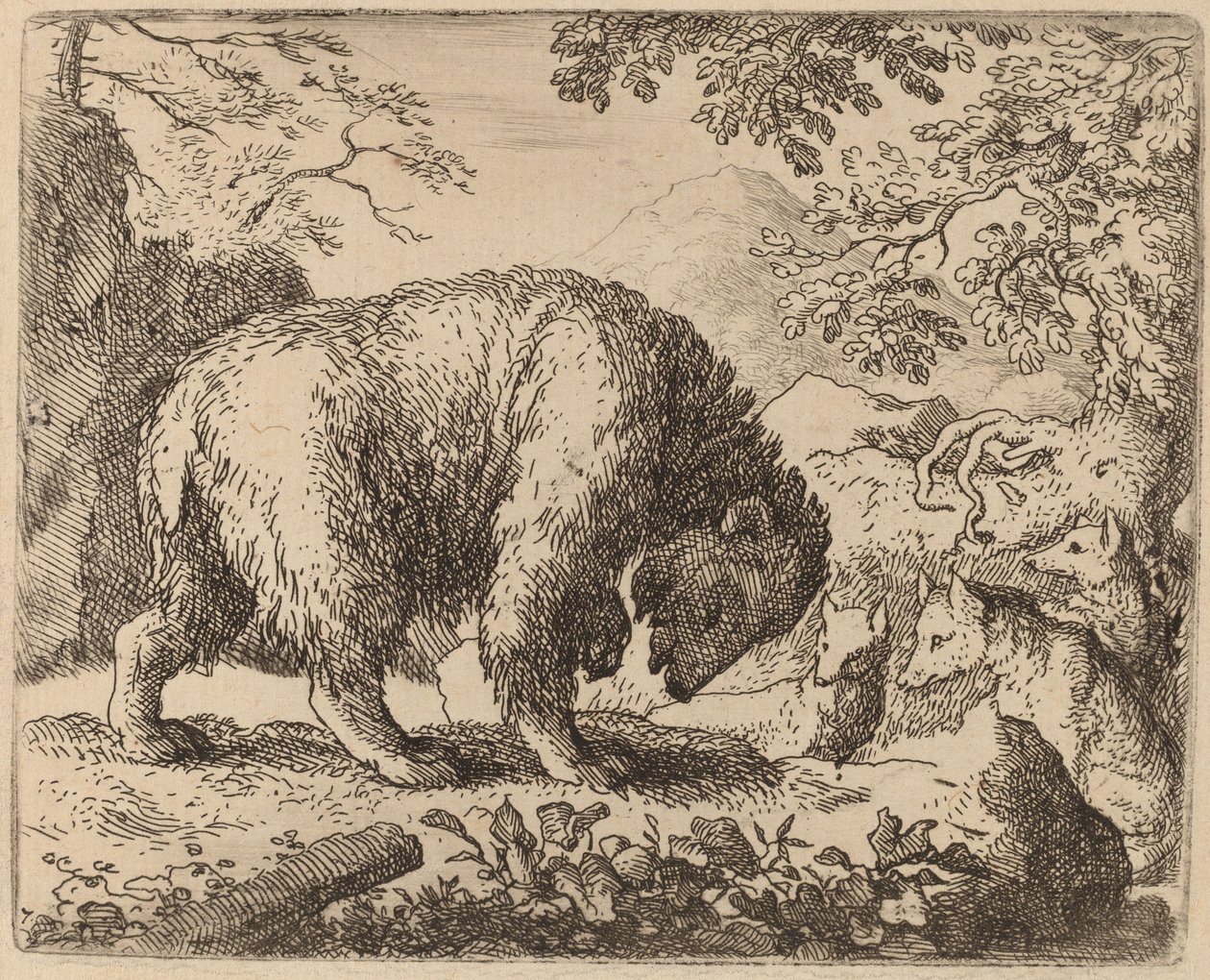 Der Bär abgelenkt durch Gespräche über Honig, wahrscheinlich ca. 1645-1656 von Allart van Everdingen