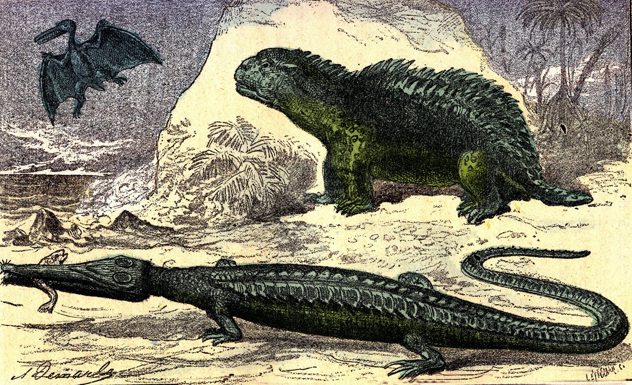 Urgeschichte - Jura-Periode: Der Teleosaurier und der Hyleosaurier. Der Pterodaktylus oben. Natürliche Schöpfung und Lebewesen. Zeichnung von A. Demarle. 1885 von Alphonse Demarle