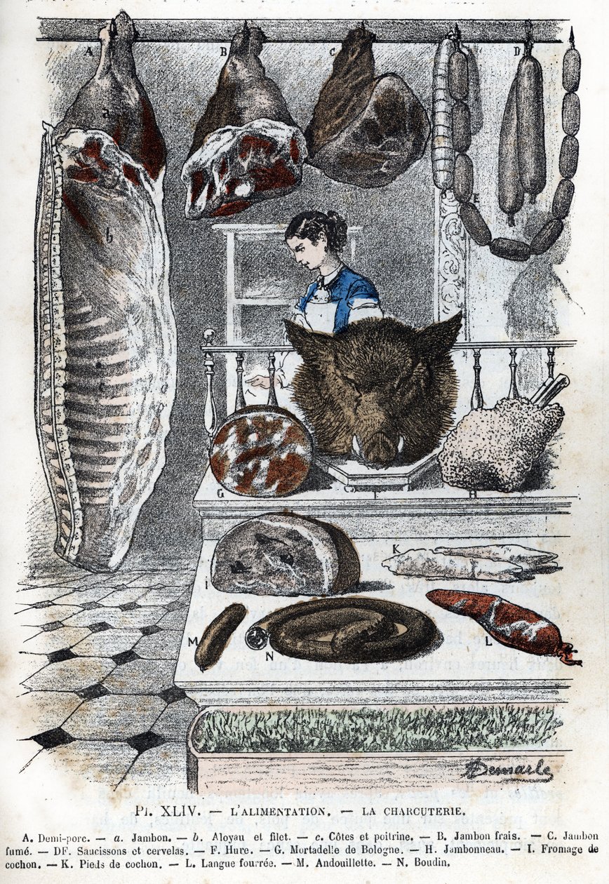 Ansicht von Aufschnitt. Ein halbes Schwein (ein Schinken, Aloyau, Rippen und Brust), frischer Schinken, geräucherter Schinken, Würste und Cerevelas, Hure, Mortadella aus Bologna, Schinken, Schweinekäse, Schweinefüße, gefüllte Zunge, Andouillette, Blutwurst von Alphonse Demarle