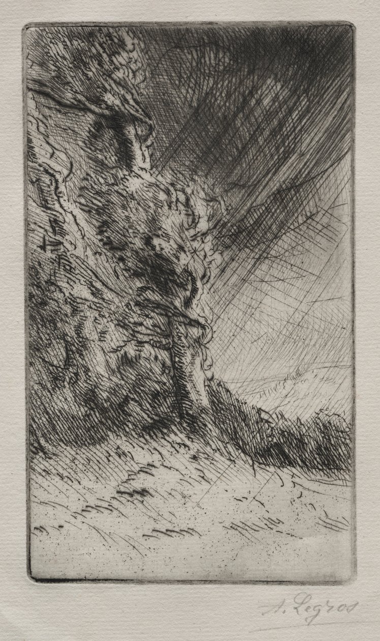 Ein Windstoß von Alphonse Legros