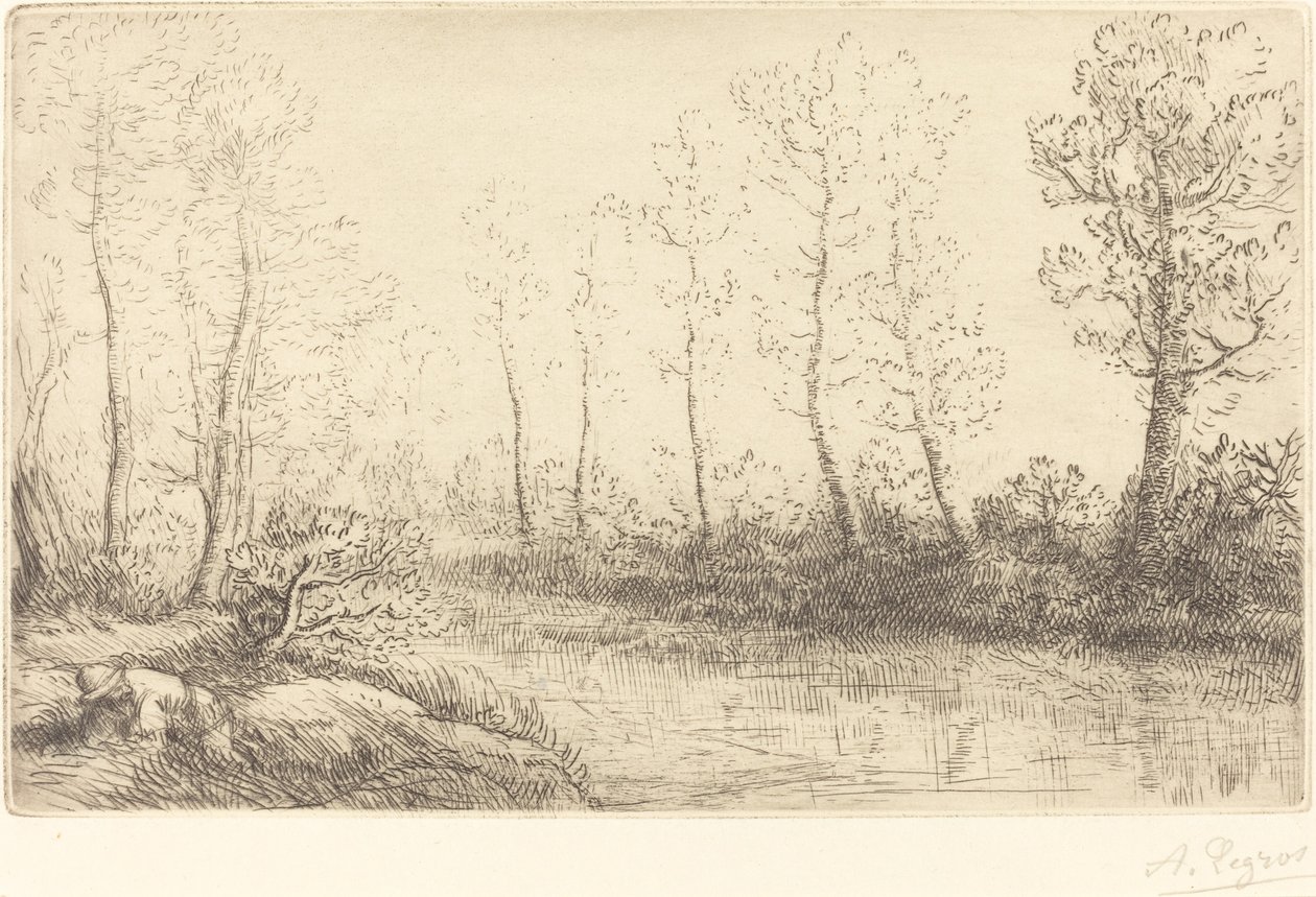 Birken: Wasserrand im Morgenlicht von Alphonse Legros