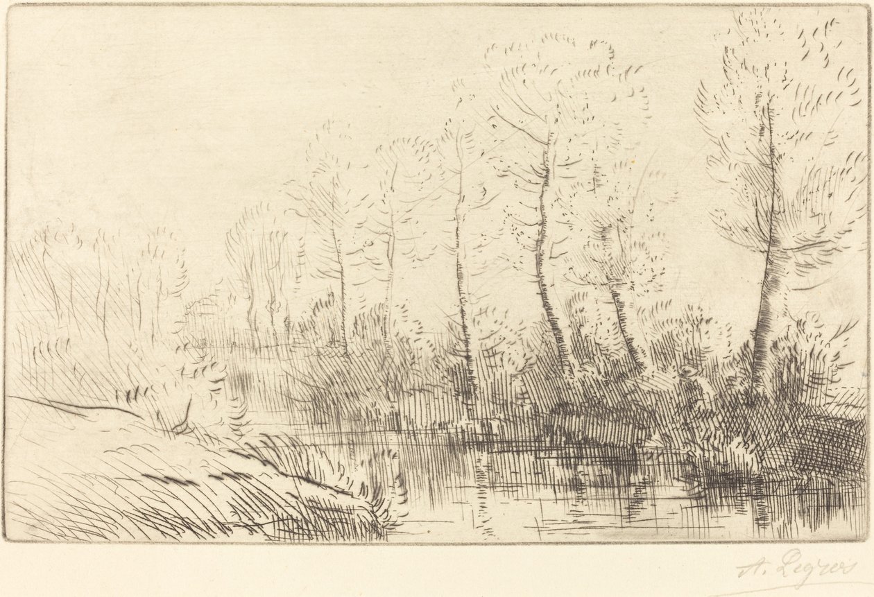 Birken: Wasserrand im Morgenlicht von Alphonse Legros