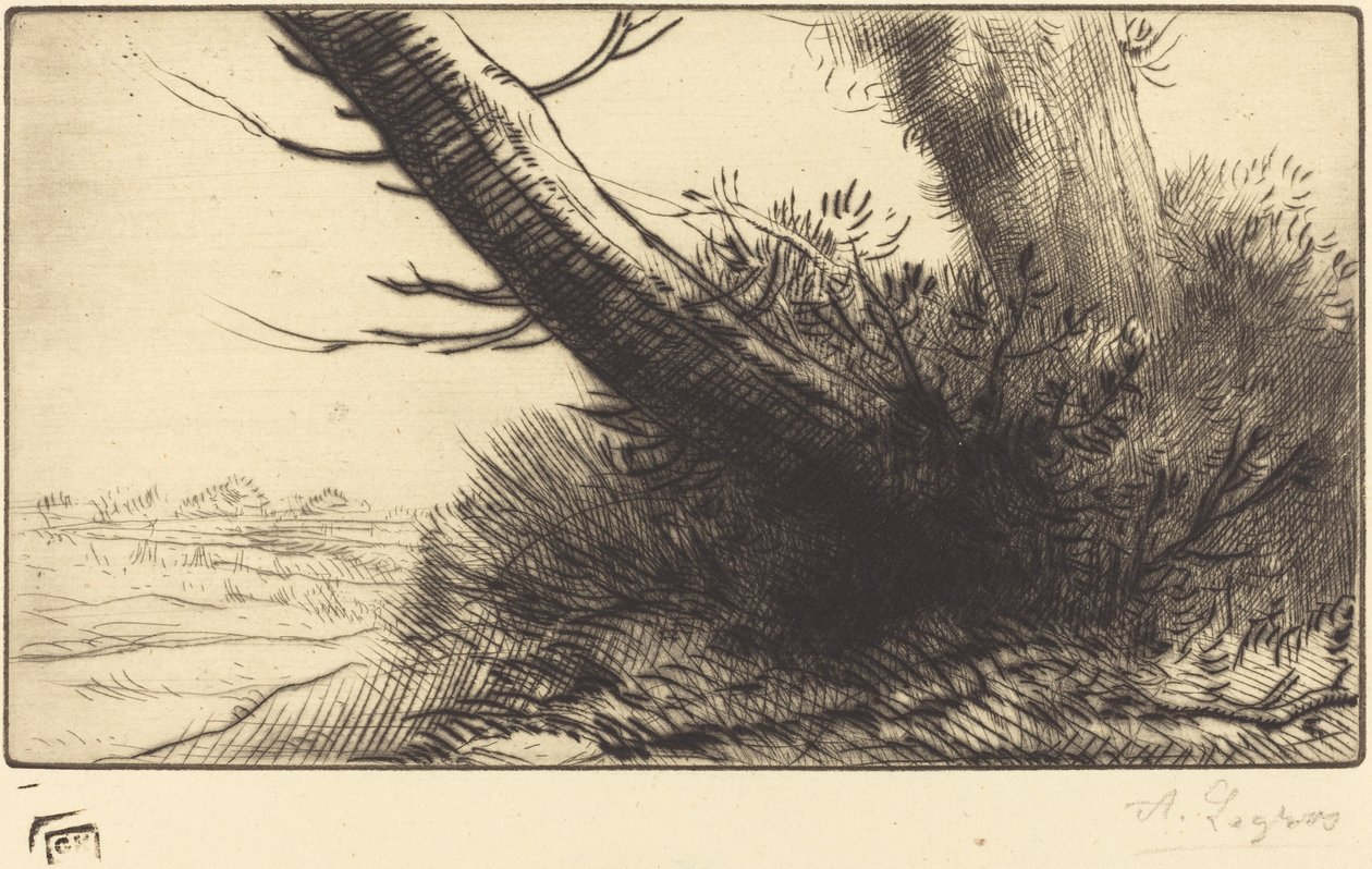 Ecke eines Pfades von Alphonse Legros