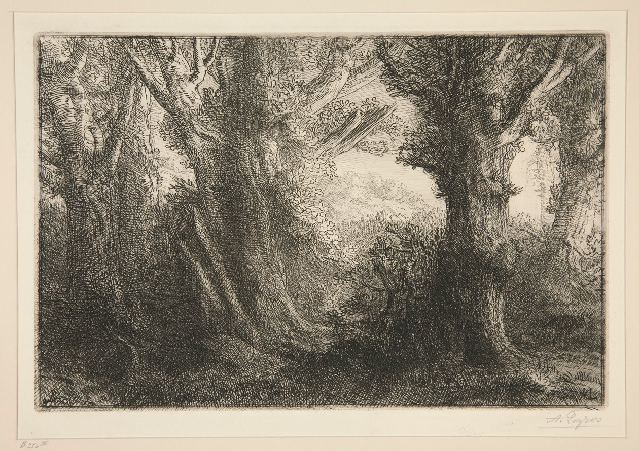 Im Wald von Conteville von Alphonse Legros