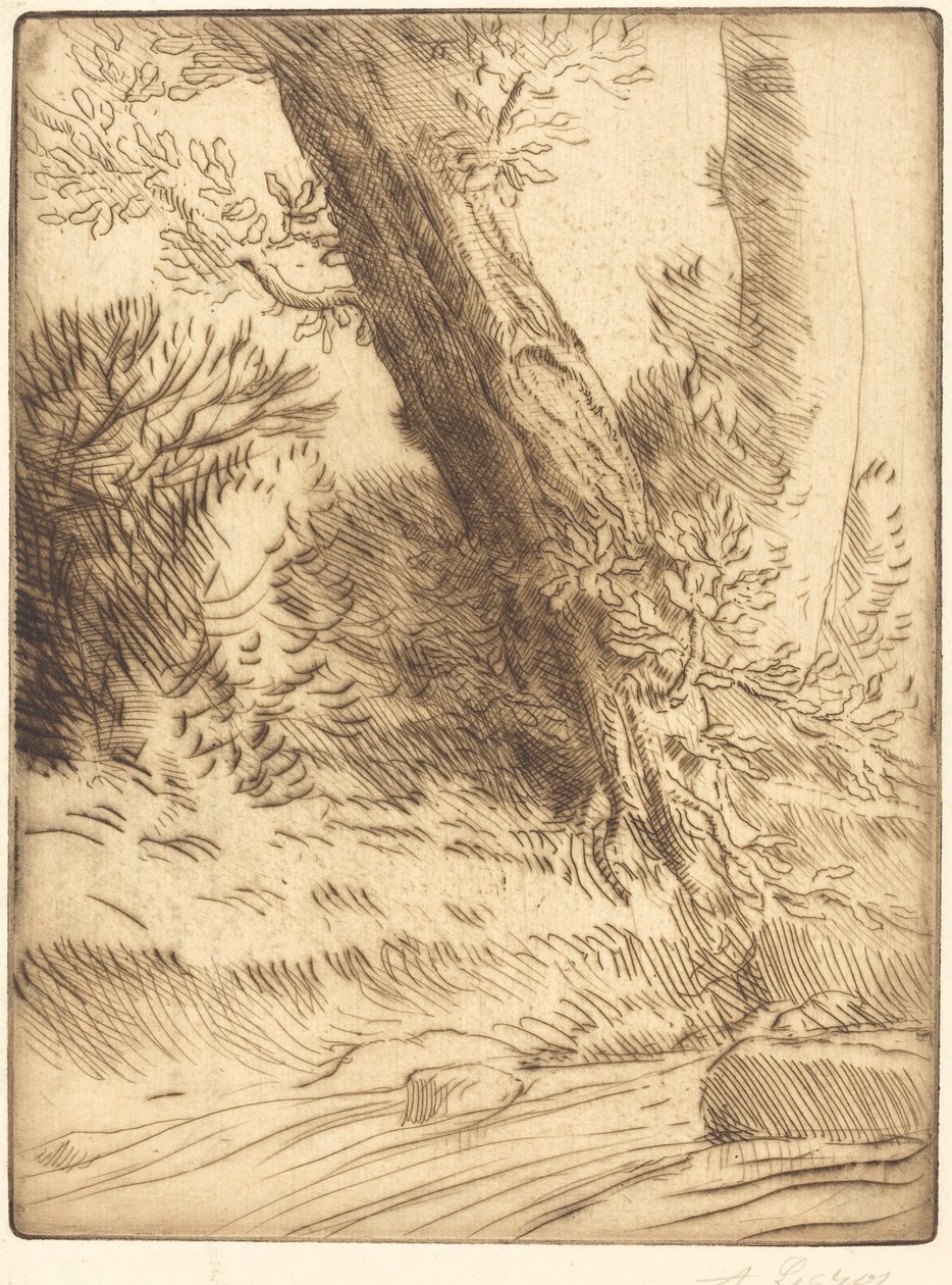 Am Rand eines Baches von Alphonse Legros