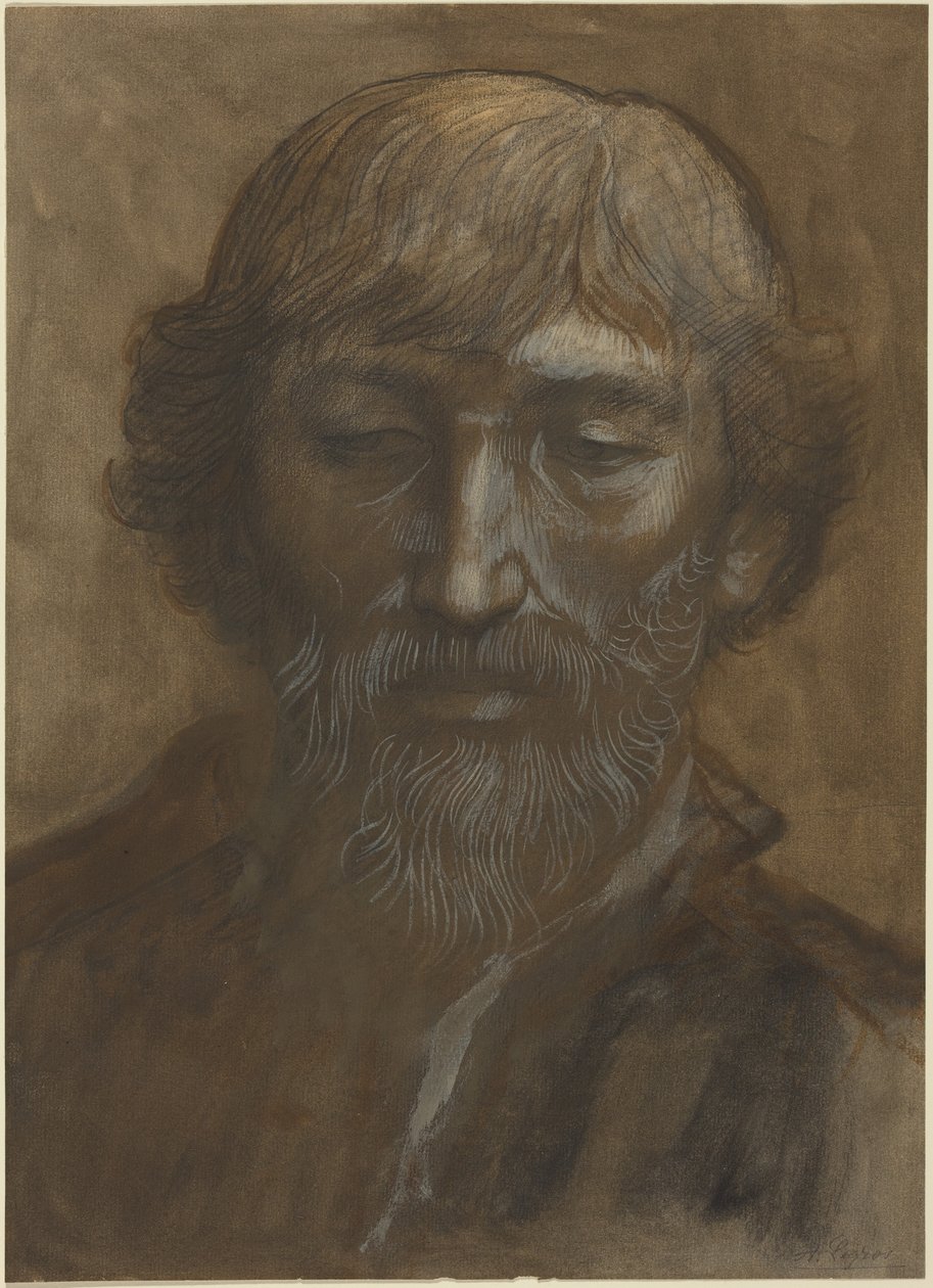 Kopf eines Mannes, Frontalansicht von Alphonse Legros