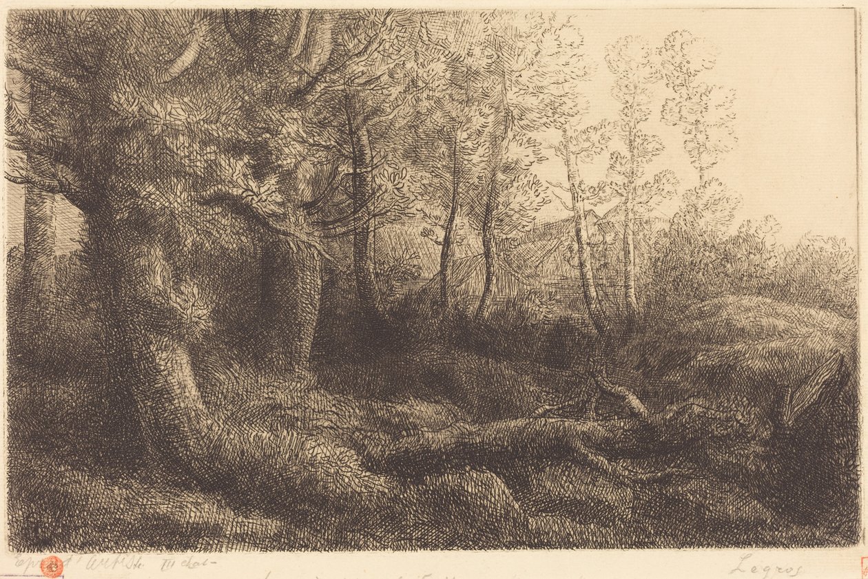 Im Wald (Waldrand) von Alphonse Legros