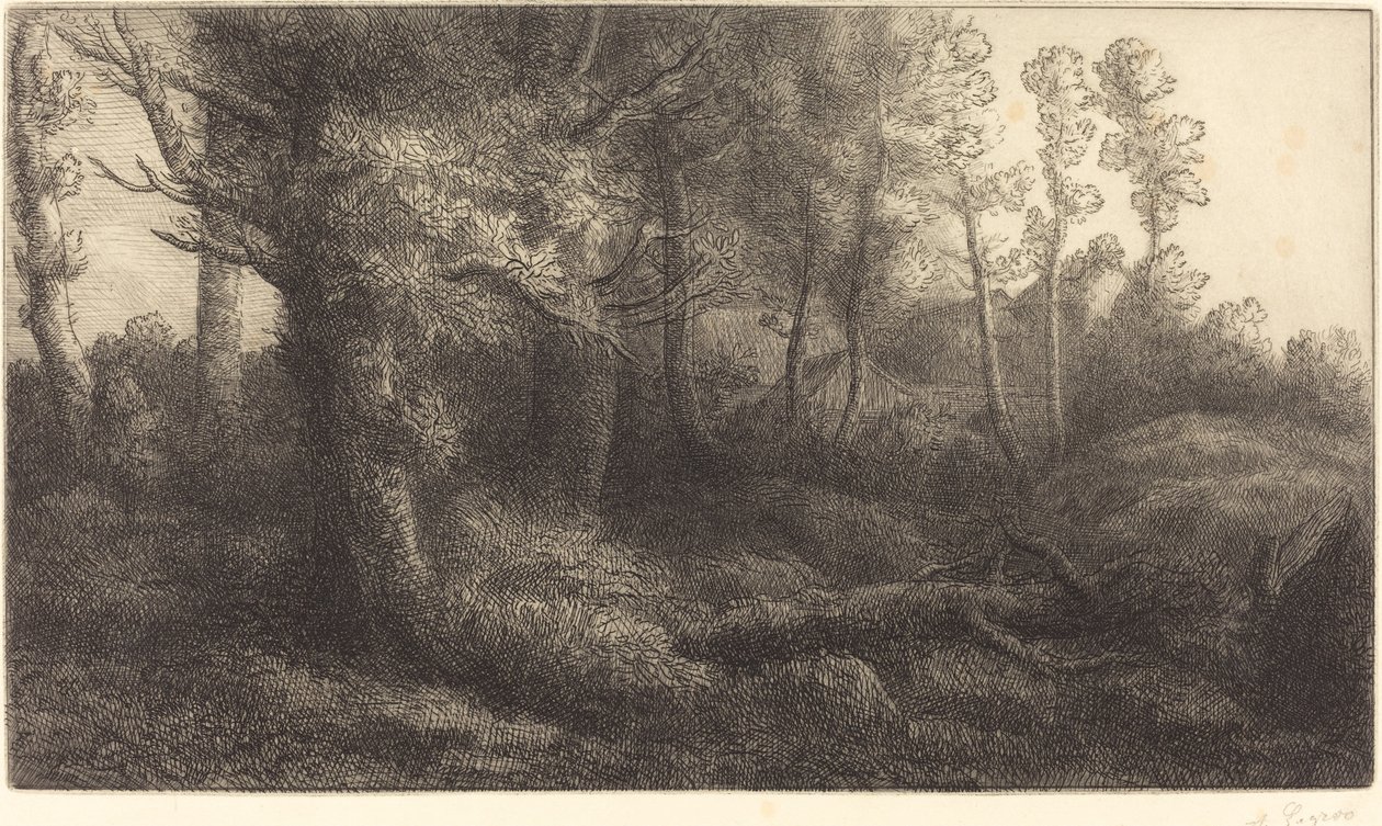 Im Wald von Alphonse Legros