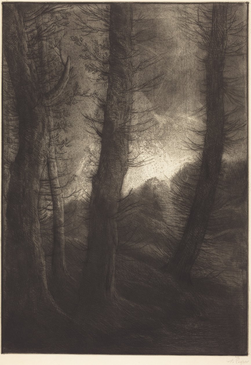 Große Bäume gegen die Sonne gesehen (Les grandes arbres: Effet du soir) von Alphonse Legros