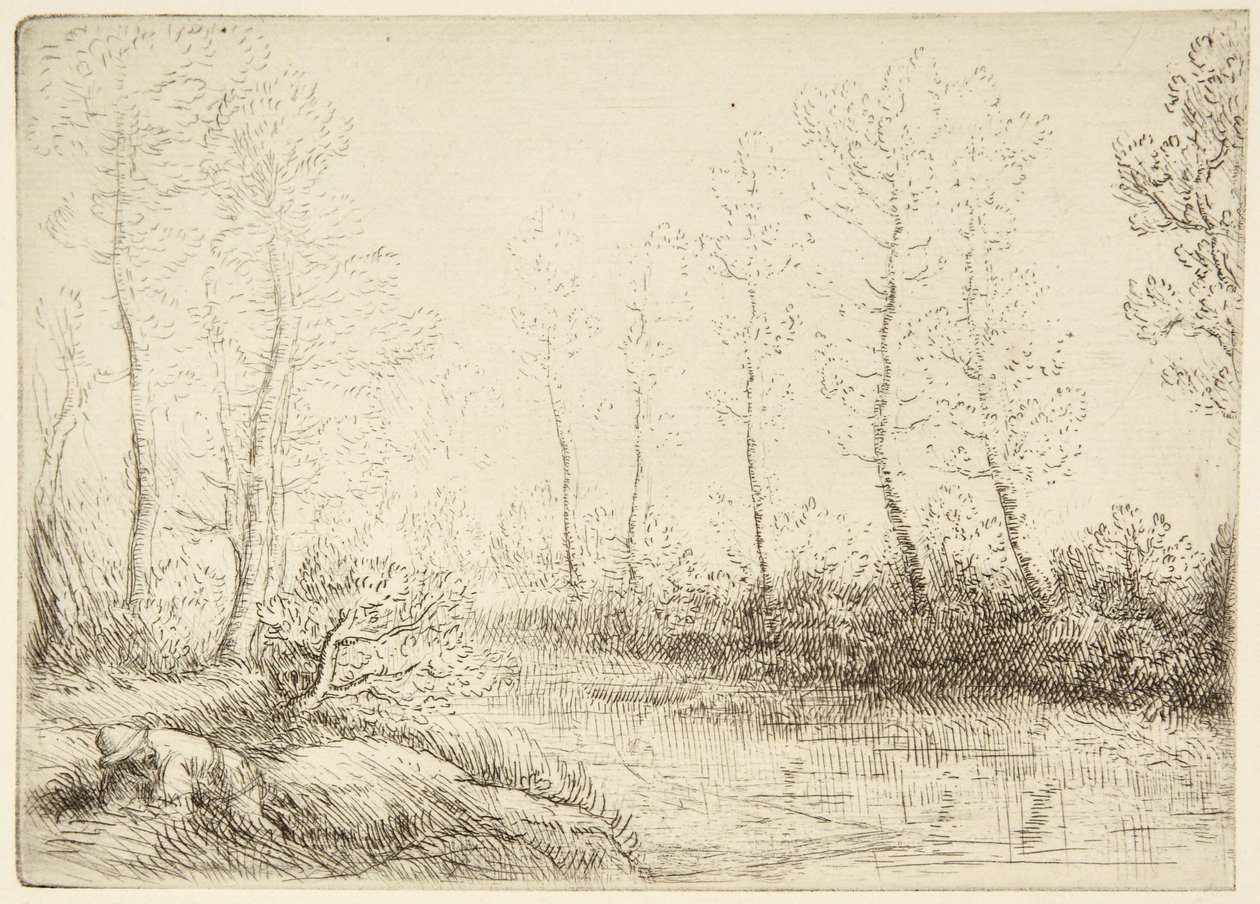 Die Birken von Alphonse Legros