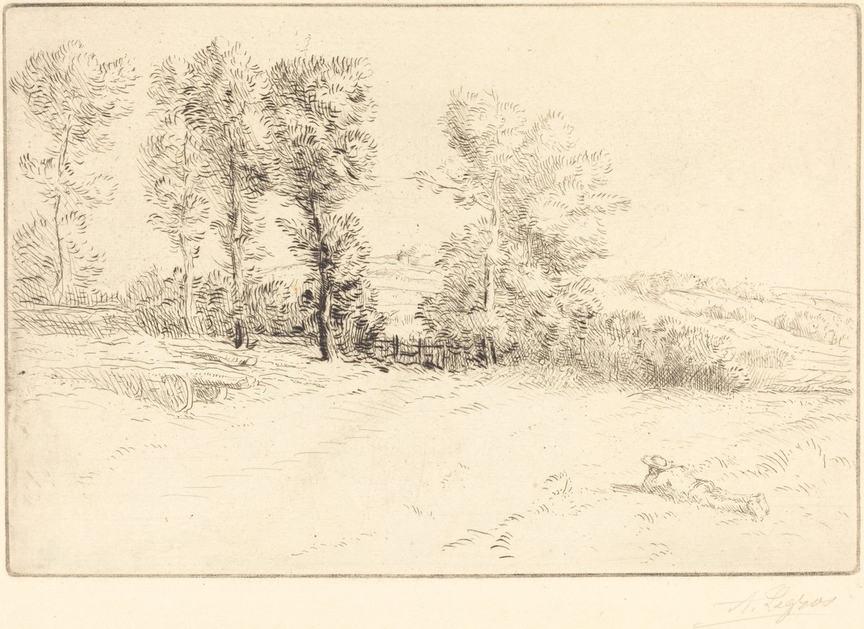 Wiese im Sonnenschein Le pré ensoleillé von Alphonse Legros