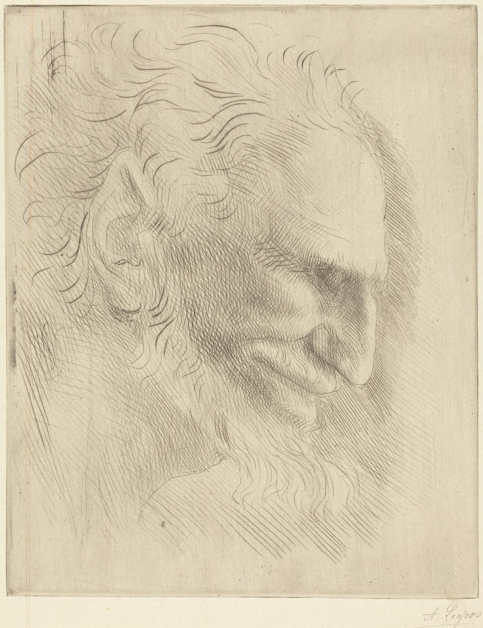 Studie zum Kopf eines Mannes von Alphonse Legros