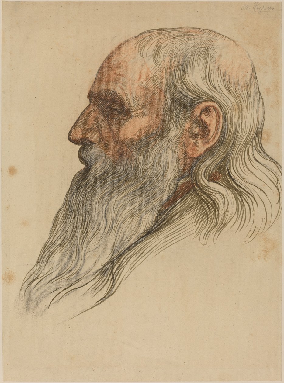 Studie eines Männerkopfes mit Vollbart von Alphonse Legros