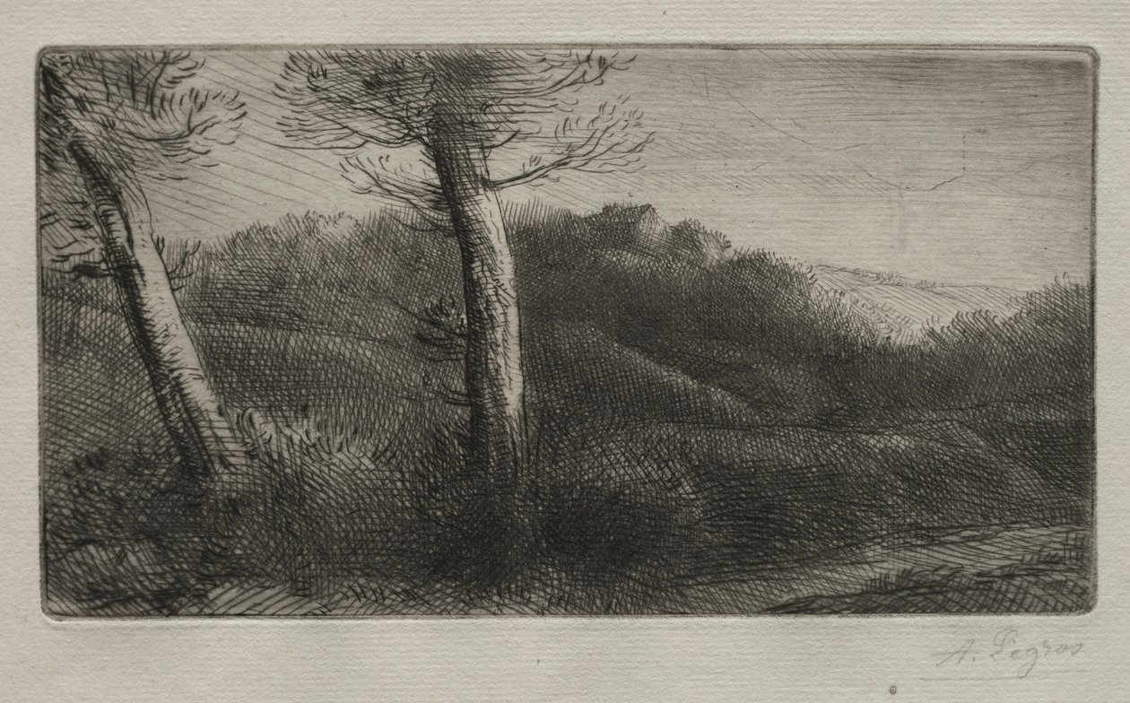 Der Reisende ausgestreckt auf dem Gras, ca. 1888 von Alphonse Legros