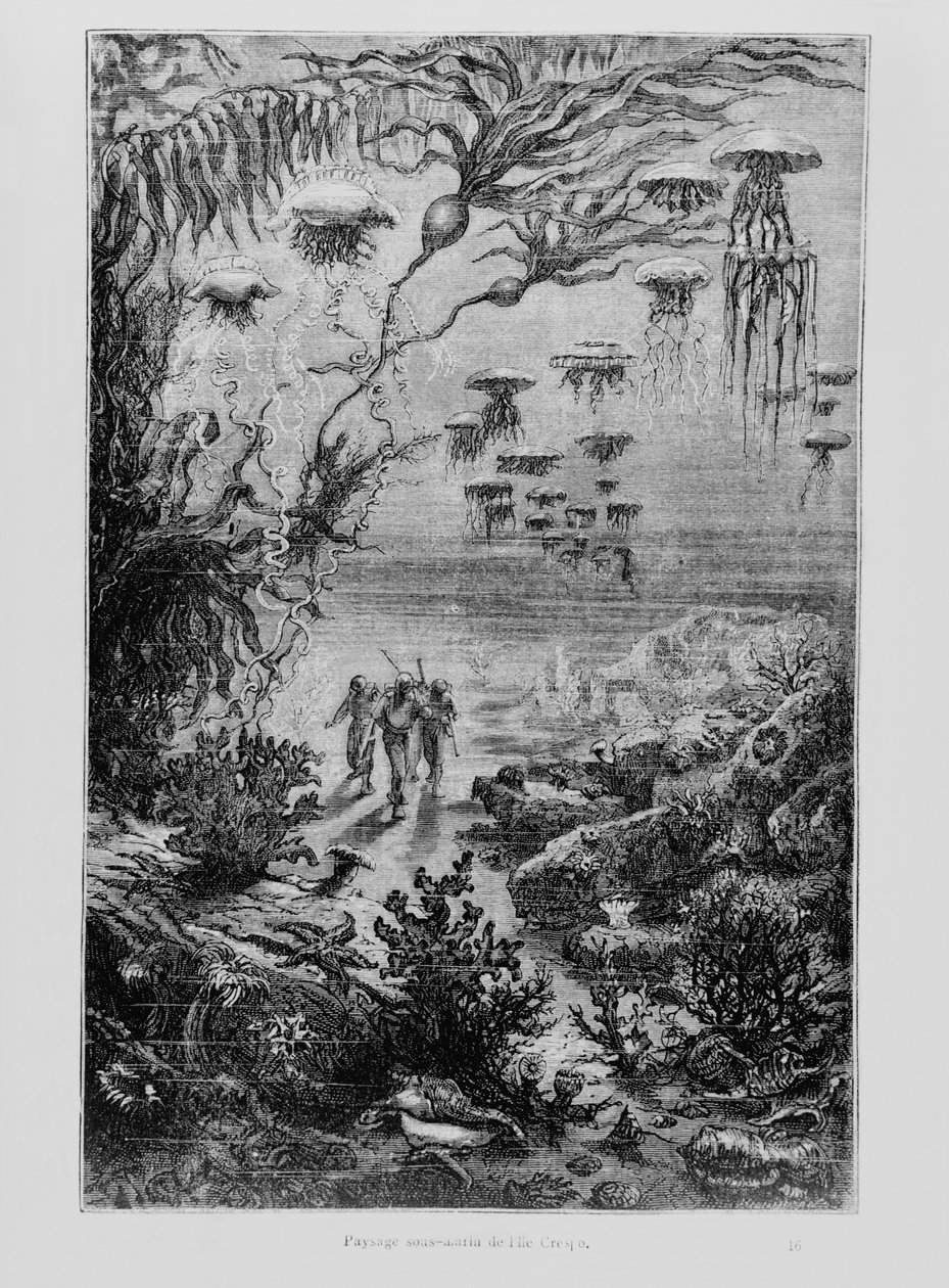 Illustration aus 