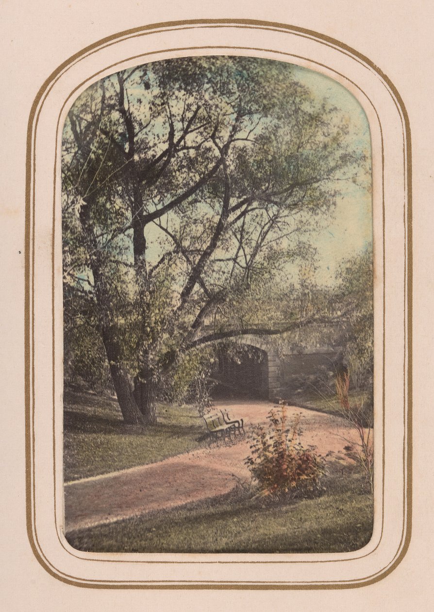 Carte-de-visite Album mit Ansichten des Central Parks, 1860er Jahre von Ambrose Jackson