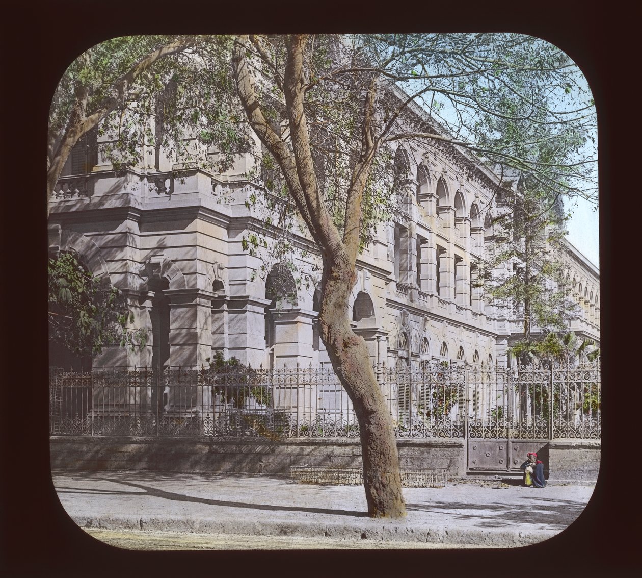 Ägypten - Beduinen, Alexandria von American Photographer