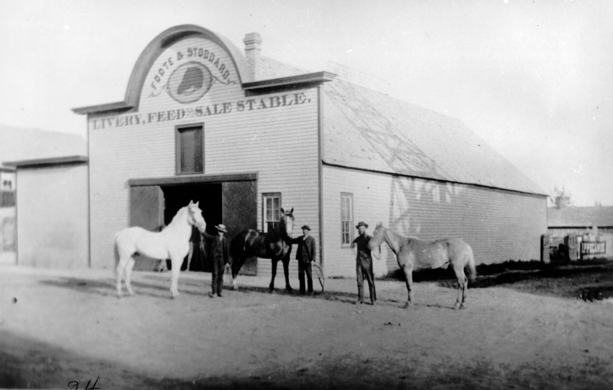 Foote und Stoddard Fuhrwerk, 1885 von American Photographer