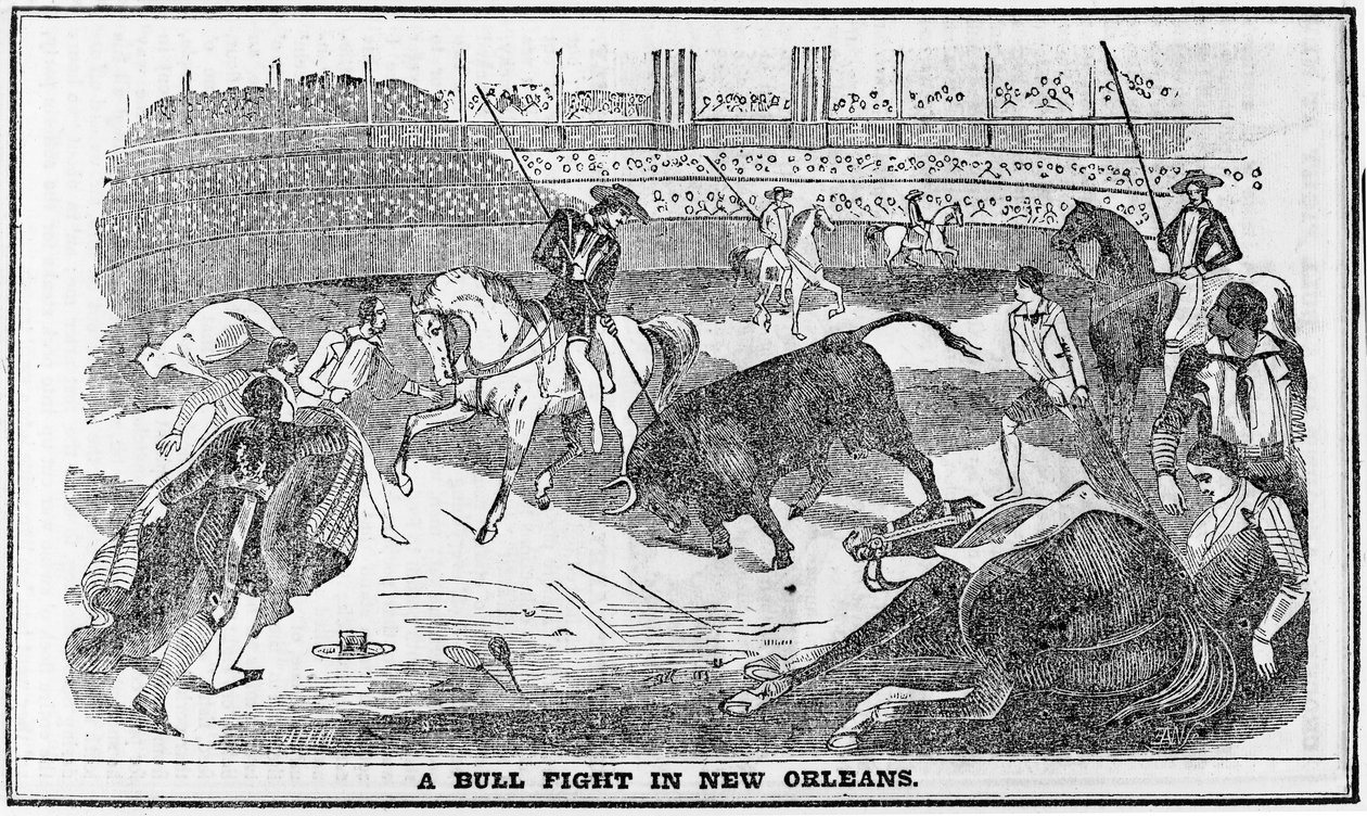 Stierkampf in New Orleans, aus Davy Crocketts Almanack, Boston, 1849 von American School
