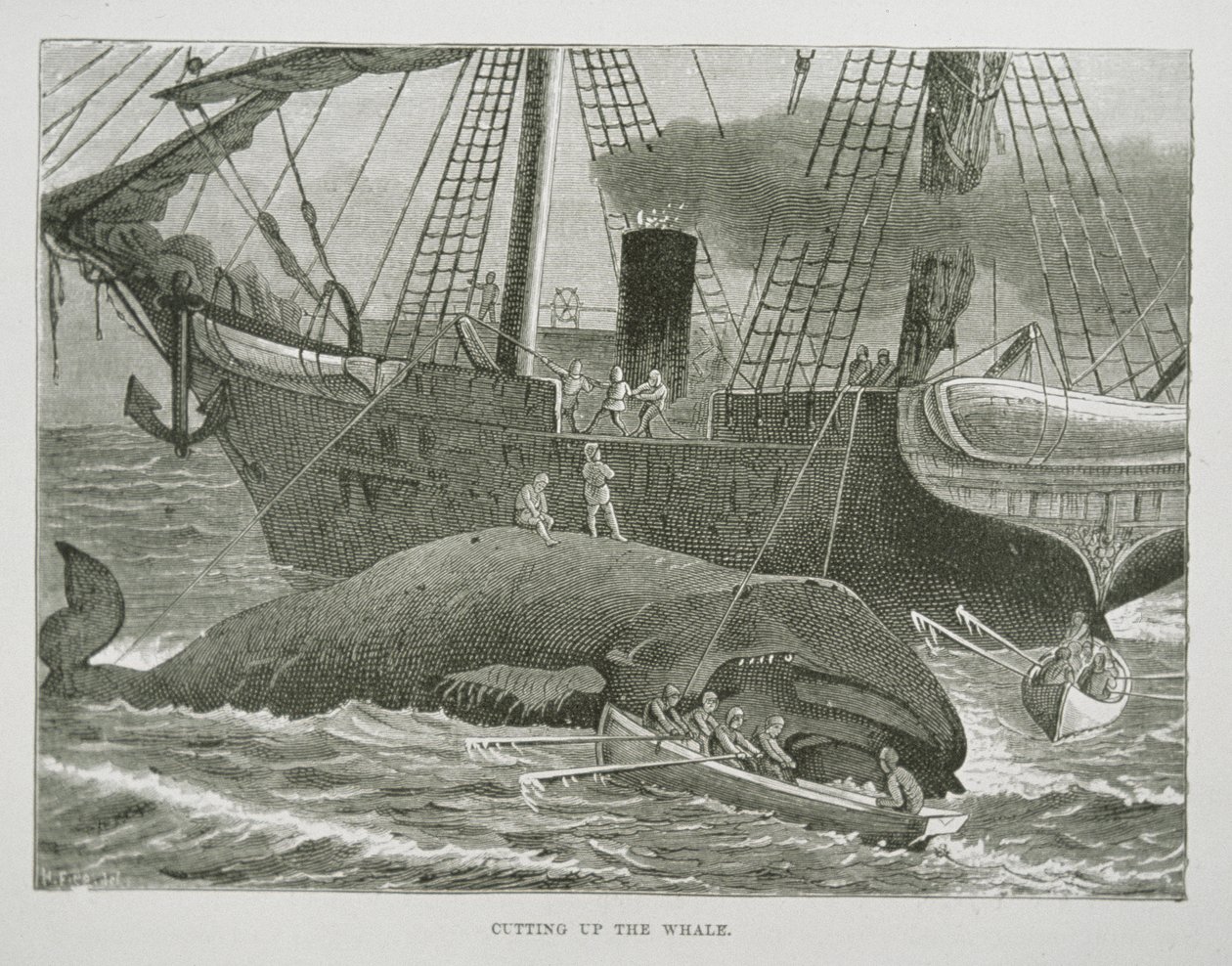 Zerlegen des Wals, aus The American Whale Fishery, ca. 1850 von American School