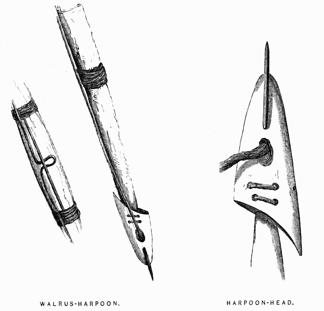 Eskimo-Jagdwerkzeuge: Harpunen - Elisha Kent Kane, Arktische Erkundungen in den Jahren 1853-1855, Bd. 1, S. 412, Philadelphia von American School