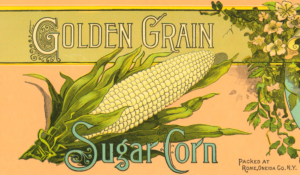 Golden Grain Zuckermais Produktetikett, ca. 1890 von American School