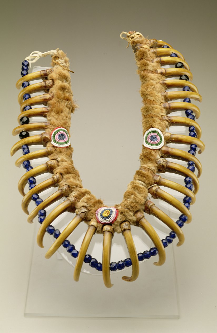 Grizzlybären-Klauen-Halskette, Iowa, Native American von American School