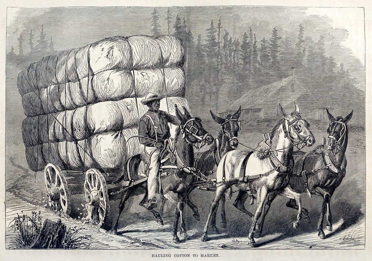 Baumwolle zum Markt bringen, aus Einhundert Jahre Fortschritt der Vereinigten Staaten, veröffentlicht 1871 (Gravur) von American School