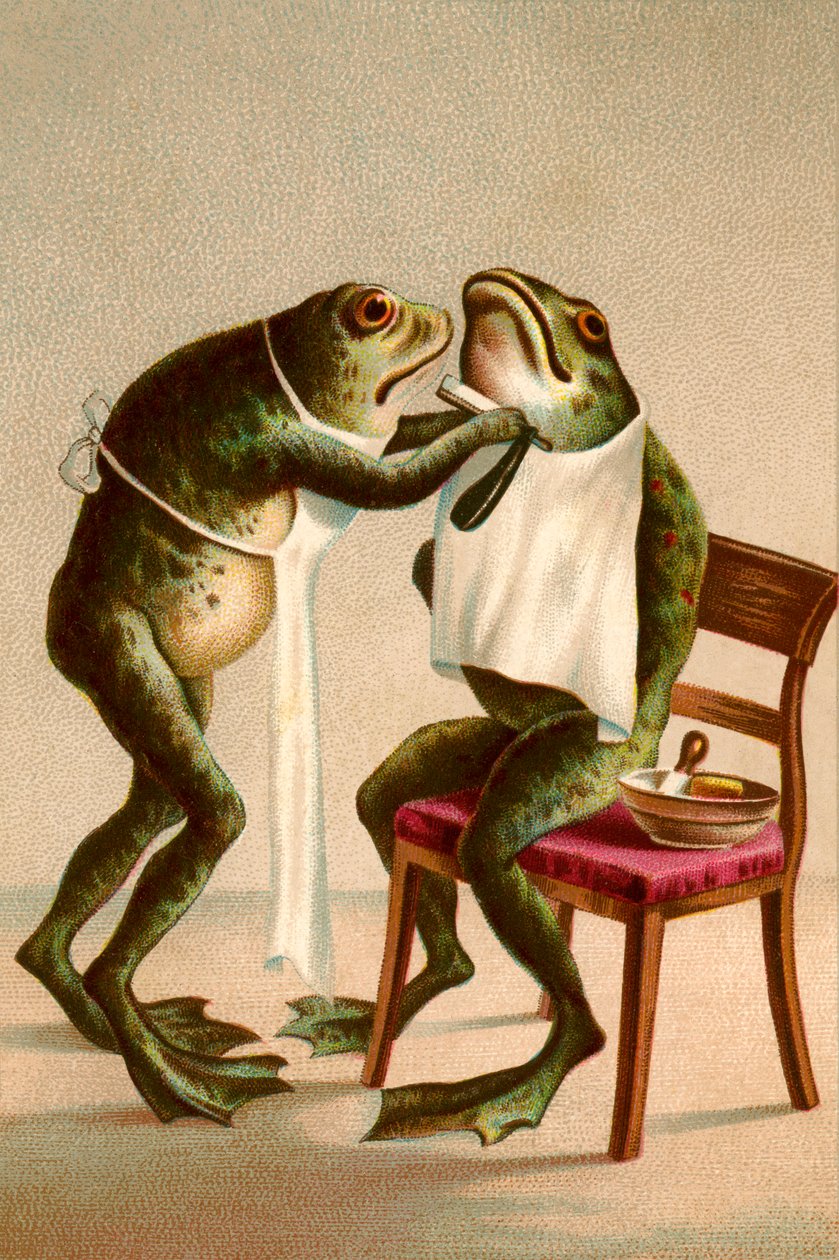 Humorvolle Illustration eines Frosches, der rasiert wird von American School