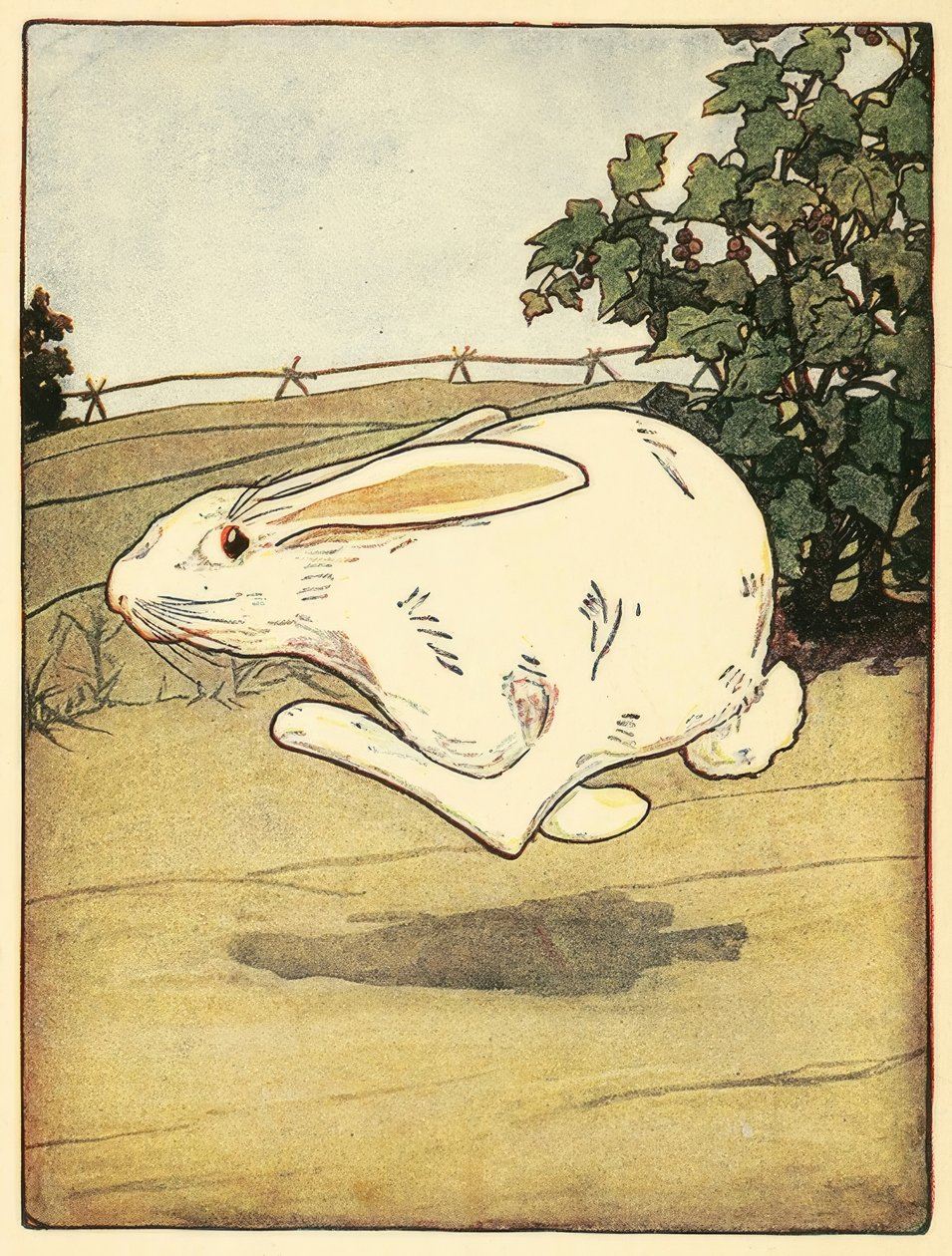 Peter hörte nie auf zu rennen, aus Die Geschichte von Peter Hase von American School