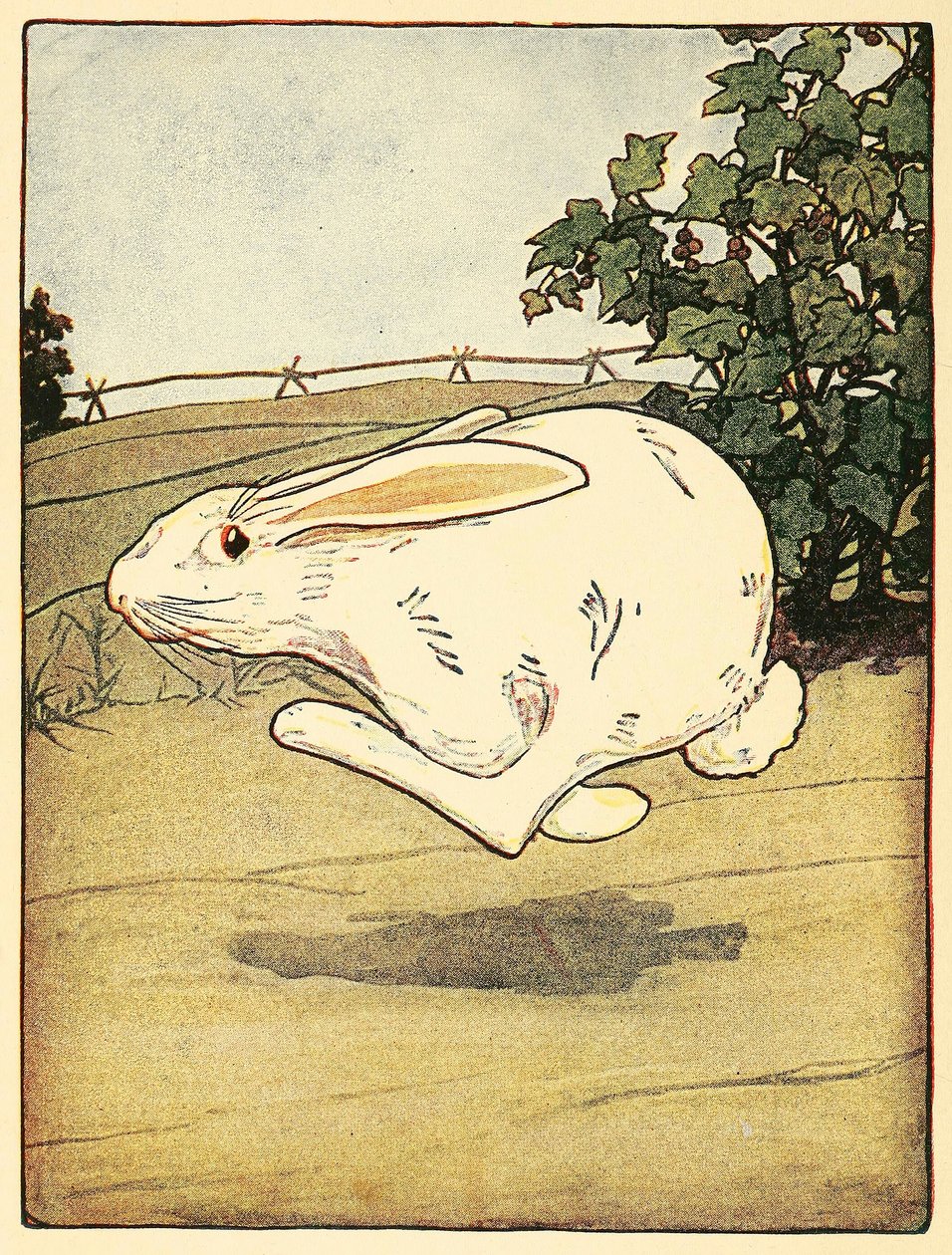 Peter hörte nie auf zu rennen, aus Die Geschichte von Peter Hase, veröffentlicht 1916 Farblithographie, 1916 von American School